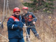 Энергетики напоминают правила электробезопасности в охранных зонах ЛЭП Энергетики напоминают правила электробезопасности в охранных зонах ЛЭП