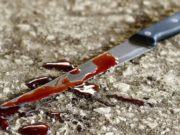 Горожанка ударила ножом в грудь назойливого жениха Горожанка ударила ножом в грудь назойливого жениха