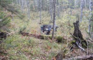 Кемеровчанин погиб во время прогулки на снегоболотоходе по турочакскому лесу