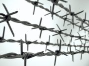 Горожанок, делавших наркотические закладки, приговорили к лишению свободы Горожанок, делавших наркотические закладки, приговорили к лишению свободы