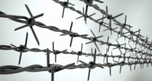 Горожанок, делавших наркотические закладки, приговорили к лишению свободы Горожанок, делавших наркотические закладки, приговорили к лишению свободы