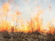 Штормовое предупреждение: в ряде районов чрезвычайная пожароопасность Штормовое предупреждение: высокая и чрезвычайная пожароопасность