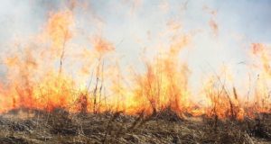 Штормовое предупреждение: в ряде районов чрезвычайная пожароопасность Штормовое предупреждение: высокая и чрезвычайная пожароопасность