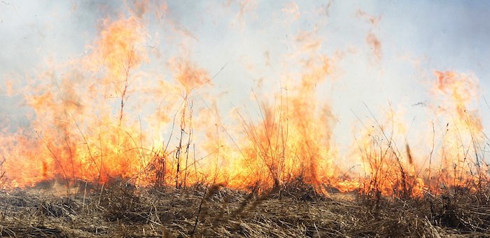 Штормовое предупреждение: в ряде районов чрезвычайная пожароопасность