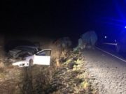 Горожанин на Nissan Cefiro врезался в трактор без габаритных огней на Чуйском тракте Горожанин на Nissan Cefiro врезался в трактор без габаритных огней на Чуйском тракте