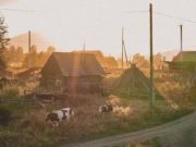 Дожди на Алтае сменит прохладная погода без осадков Дожди на Алтае сменит прохладная погода без осадков