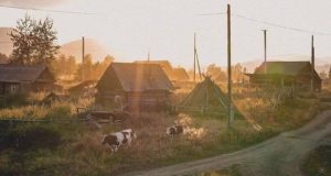 Дожди на Алтае сменит прохладная погода без осадков Дожди на Алтае сменит прохладная погода без осадков