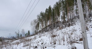 Новая ЛЭП обеспечит надежное электроснабжение четырех населенных пунктов
