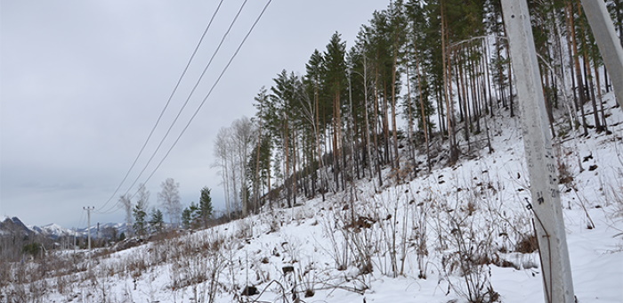 Новая ЛЭП обеспечит надежное электроснабжение четырех населенных пунктов