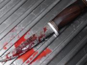Табун лошадей довел братьев до поножовщины Табун лошадей довел братьев до поножовщины