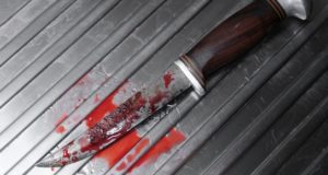 Табун лошадей довел братьев до поножовщины Табун лошадей довел братьев до поножовщины