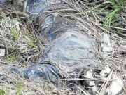 В садах у Горно-Алтайска найден скелет мужчины В садах у Горно-Алтайска найден скелет мужчины