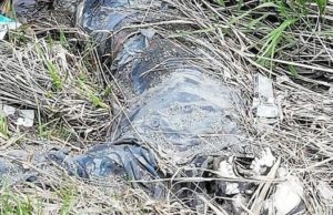 В садах у Горно-Алтайска найден скелет мужчины