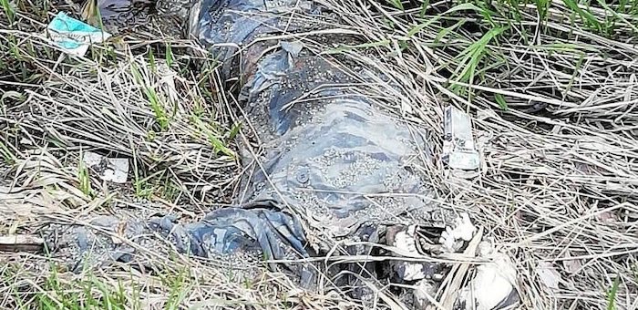 В садах у Горно-Алтайска найден скелет мужчины