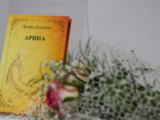 «Арина» Лазаря Кокышева вышла в свет на русском языке «Арина» Лазаря Кокышева вышла в свет на русском языке