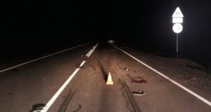 Водитель Toyota Prius погиб, столкнувшись ночью на Семинском перевале с лошадью