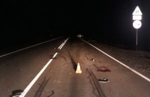 Водитель Toyota Prius погиб, столкнувшись ночью на Семинском перевале с лошадью