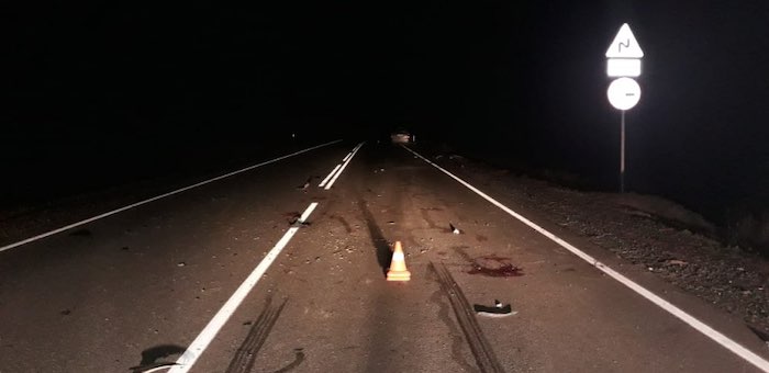 Водитель Toyota Prius погиб, столкнувшись ночью на Семинском перевале с лошадью