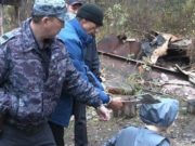 Заготовщик кедрового ореха убил в лесу человека
