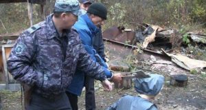 Заготовщик кедрового ореха убил в лесу человека Заготовщик кедрового ореха убил в лесу человека