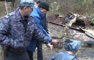 Заготовщик кедрового ореха убил в лесу человека