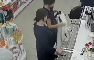 Сотрудников «Новэкса» накажут за обыск несовершеннолетней девушки Сотрудников «Новэкса» накажут за обыск несовершеннолетней девушки