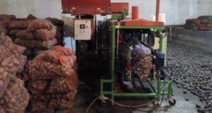 Новые овощекартофелехранилища открыли в Шебалинском районе