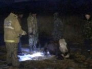 Пожарные спасли коров, провалившихся под лед Пожарные спасли коров, провалившихся под лед
