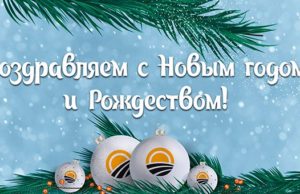 ПАРТИЯ ДЕЛА поздравляет с Новым годом! ПАРТИЯ ДЕЛА поздравляет с Новым годом!