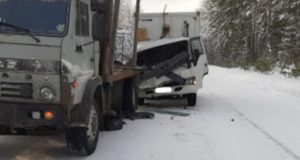 Водитель японского грузовика погиб после столкновения с «КамАЗом»