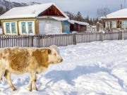 Погода в начале декабря: без осадков, возможны оттепели Погода в начале декабря: без осадков, возможны оттепели