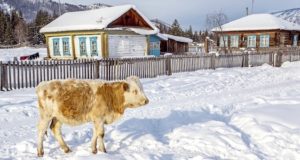 Погода в начале декабря: без осадков, возможны оттепели Погода в начале декабря: без осадков, возможны оттепели