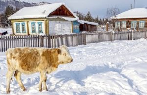 Погода в начале декабря: без осадков, возможны оттепели Погода в начале декабря: без осадков, возможны оттепели