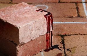 Горожанка ударила кирпичом по лицу сожителя, который пришел ее забрать из чужого дома Горожанка ударила кирпичом по лицу сожителя, который пришел ее забрать из чужого дома