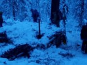 В заповеднике задержаны нарушители, которые собирались заняться добычей кабарги В заповеднике задержаны нарушители, которые собирались заняться добычей кабарги