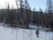 Участники первого антибраконьерского рейда не нашли петель на кабаргу Участники первого антибраконьерского рейда не нашли петель на кабаргу