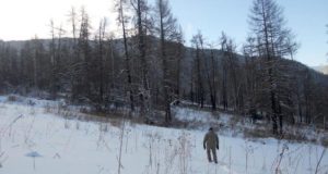 Участники первого антибраконьерского рейда не нашли петель на кабаргу Участники первого антибраконьерского рейда не нашли петель на кабаргу