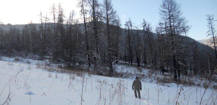 Участники первого антибраконьерского рейда не нашли петель на кабаргу