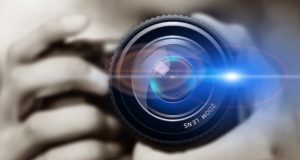 Выставка «Живая природа Алтая» пройдет в Национальном музее Выставка «Живая природа Алтая» пройдет в Национальном музее