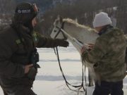Антибраконьерские рейды прошли в Горном Алтае Антибраконьерские рейды прошли в Горном Алтае