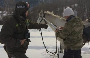 Антибраконьерские рейды прошли в Горном Алтае Антибраконьерские рейды прошли в Горном Алтае