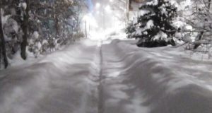 Сильный снегопад обрушился на Алтай