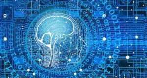 Министерство цифрового развития создано в Республике Алтай