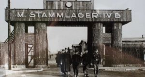 Поисковики выяснили судьбу алтайского солдата, умершего в немецком плену