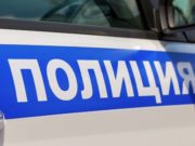Ранее судимая мать двух детей вновь осуждена за нападение на участкового Ранее судимая мать двух детей вновь осуждена за нападение на участкового