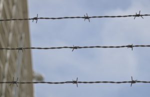 8,5 лет колонии строгого режима: вынесен приговор убийце пожилой женщины 8,5 лет колонии строгого режима: вынесен приговор убийце пожилой женщины