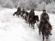 Охотников приглашают принять участие в зимних маршрутных учетах Охотников приглашают принять участие в зимних маршрутных учетах