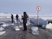 В Кош-Агачском районе взорвался лед на реке Черная В Кош-Агачском районе взорвался лед на реке Черная
