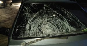 1 января три пешехода попали в больницу из-за неадекватных водителей 1 января три пешехода попали в больницу из-за неадекватных водителей