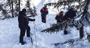 Тело попавшего под лавину охотника нашли в Усть-Коксинском районе Тело попавшего под лавину охотника нашли в Усть-Коксинском районе